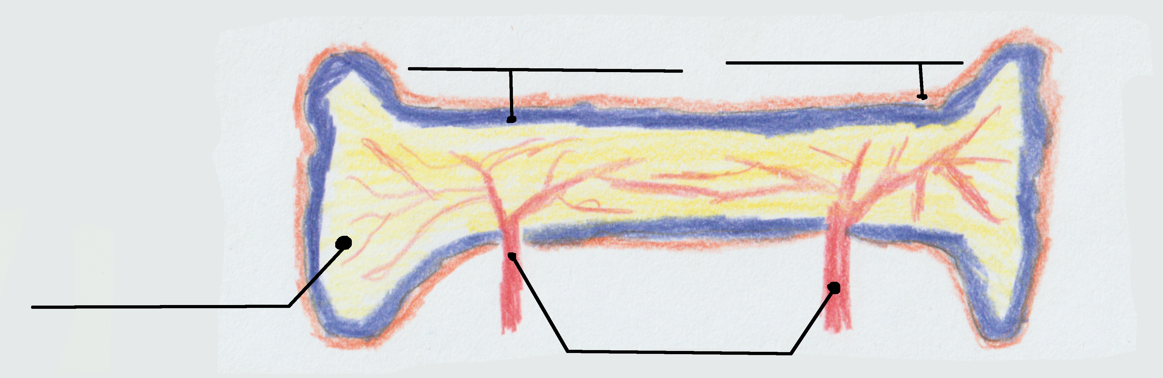 Ein Bild von einem Kochen.